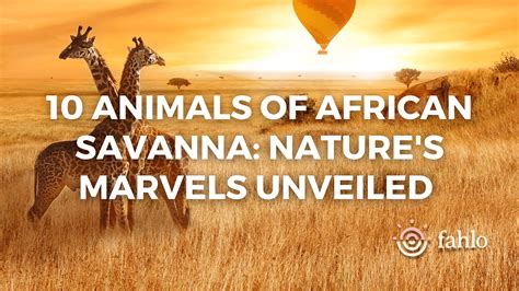 10 Animals Of African Savanna Nature S Marvels Unveiled Fahlo 10 Animals Of African Savanna Nature S Marvels Unveiled Fahlo
