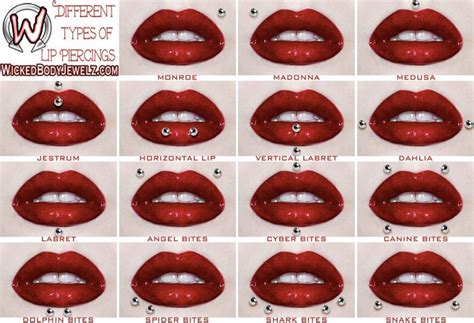 15 Types Of Lip Piercings Mouth Piercings Different Lip Piercings 15 Types Of Lip Piercings Mouth Piercings Different Lip Piercings