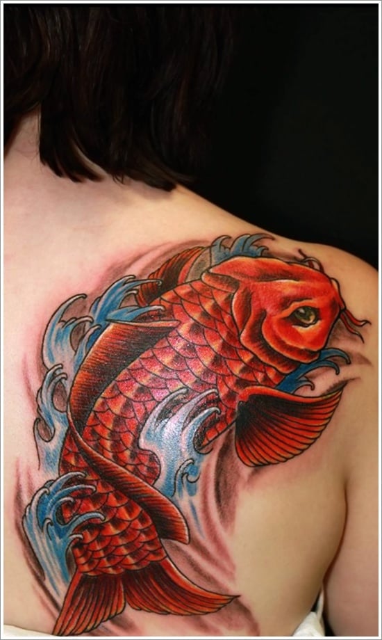 25 Amazing Koi Fish Tattoo Designs To Transform Your Body