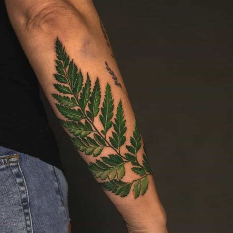 30 Best Fern Tattoo Design Ideas What Is Your Favorite Artofit 30 Best Fern Tattoo Design Ideas What Is Your Favorite Artofit