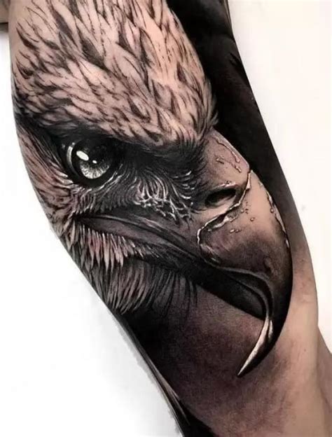 50 Eagle Tattoos Symbolism Culture And Design Art And Design 50 Eagle Tattoos Symbolism Culture And Design Art And Design