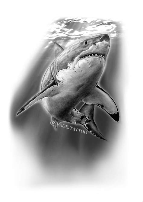 Black And Grey Shark Tattoo Design Black And Grey Shark Tattoo Design