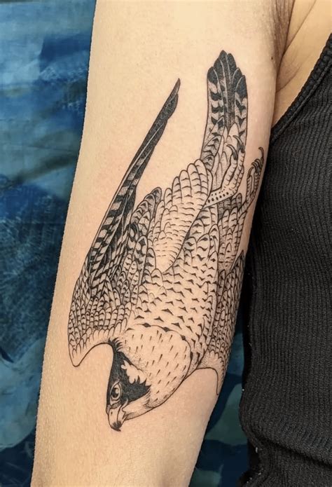 Bold Falcon Tattoo Ideas Amp Designs