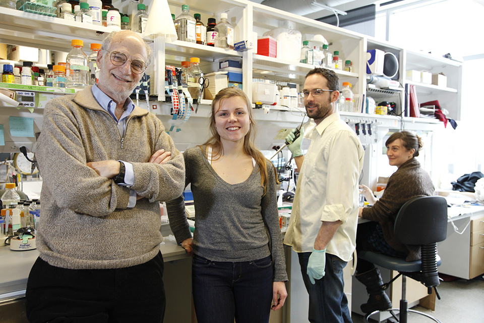 Why Brandeis Joshua Meisel Lab Drives Breakthroughs In Neuroscience
