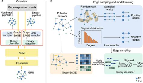 Causal Inference Gene Disease: A Beginner's Guide To Genetic Links