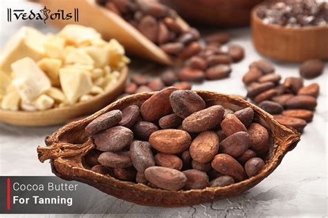 Cocoa Butter For Tattoo Benefits Amp How To Use Vedaoils Cocoa Butter For Tattoo Benefits Amp How To Use Vedaoils