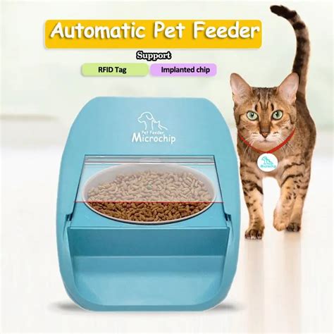 Do Microchip Pet Feeders Work For My Food Thief Cat Do Microchip Pet Feeders Work For My Food Thief Cat