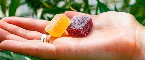 Ask Now: Does The Strain Matter Edibles