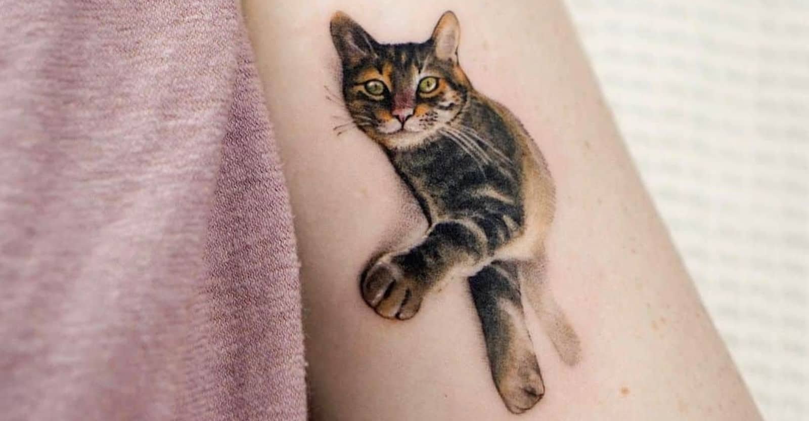 Dog And Cat Tattoo Design On Wrist 70587899 Stock Photo At Vecteezy Dog And Cat Tattoo Design On Wrist 70587899 Stock Photo At Vecteezy