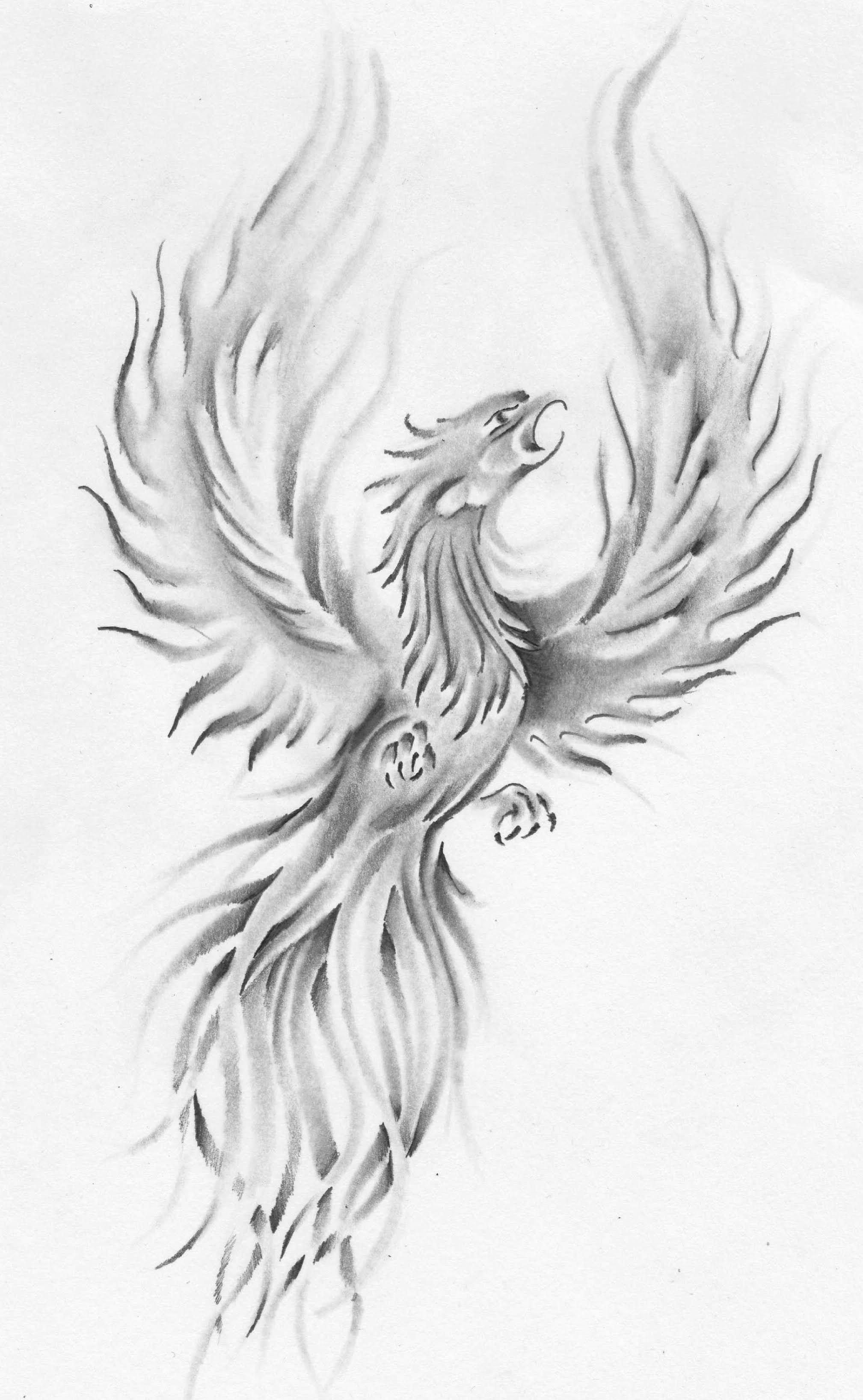 Drawing Of A Phoenix Bird Drawing Tips Guide