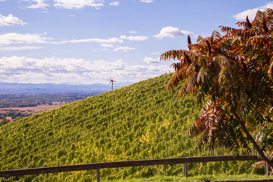 Exploring Images Browse 1 162 583 Stock Photos Vectors And Video Exploring Images Browse 1 162 583 Stock Photos Vectors And Video