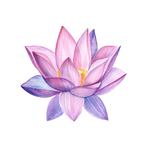 Floral Tattoo Designs Geometric Tattoo Designs Watercolor Tattoo