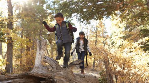 Four Stem Tools To Get Kids Learning And Exploring Outdoors Kqed Four Stem Tools To Get Kids Learning And Exploring Outdoors Kqed