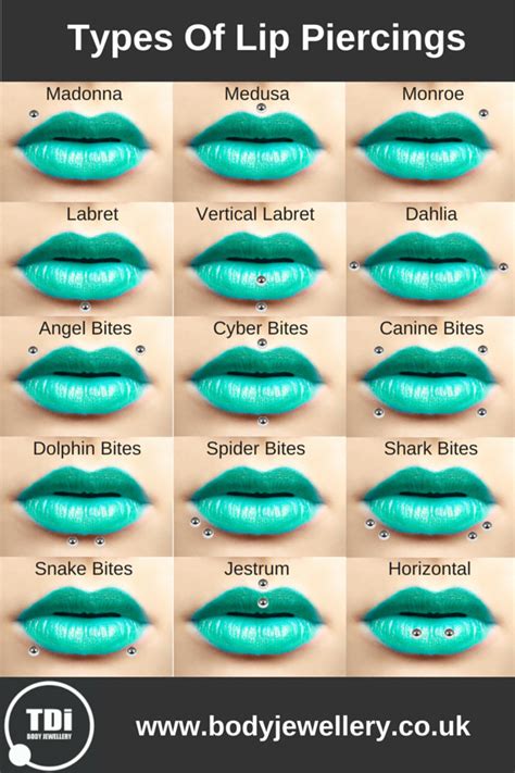 Guide To Lip Piercing Types Tdi Body Jewellery Blog Guide To Lip Piercing Types Tdi Body Jewellery Blog