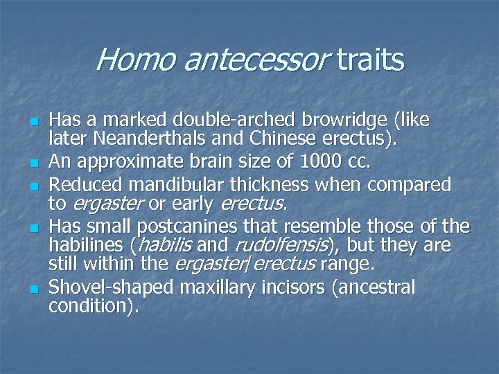 7 Benefits Of Homo Neanderthalensis Superorbital Browridge