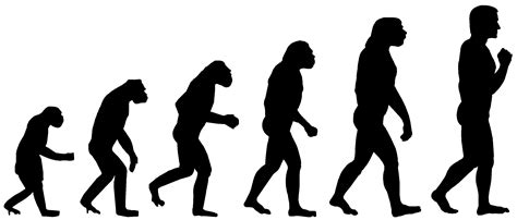 How Does Evolution Work Dinosaurs Made Easy How Does Evolution Work Dinosaurs Made Easy