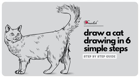 How To Draw A Cat Drawing In 6 Simple Steps Drawlish