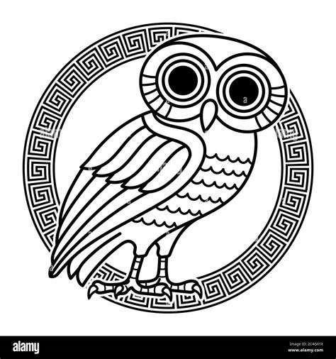 How To Draw Athenes Owl: Master The Olive-Branch Silhouette