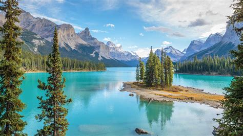 Jasper National Park Jasper Book Tickets Amp Tours Getyourguide Com