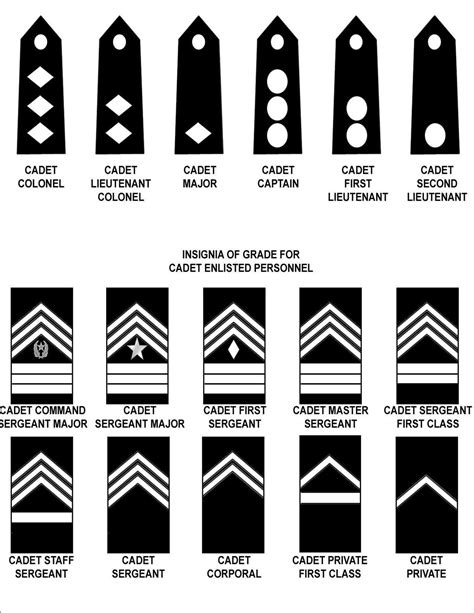 Decode Jrotc Ranks And Meanings For Beginners