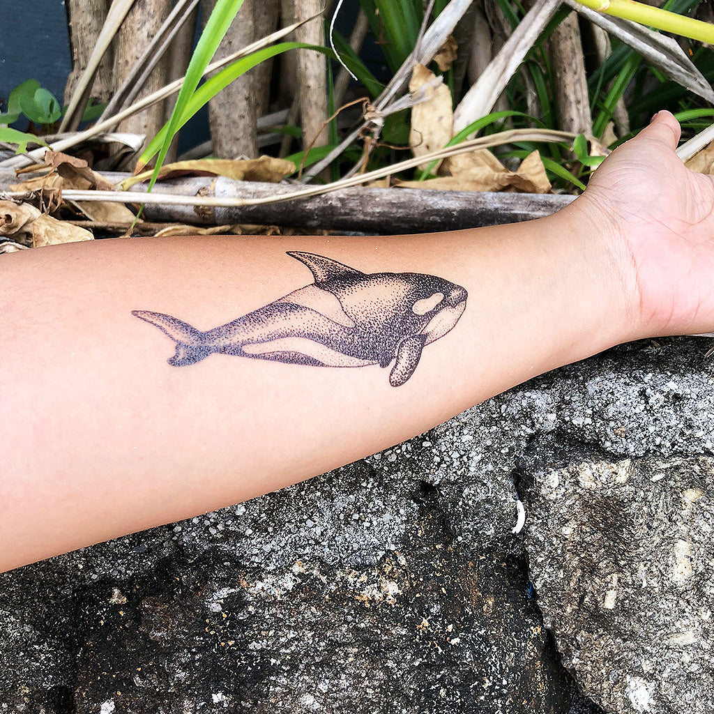 Killer Whale Tattoos Meaning