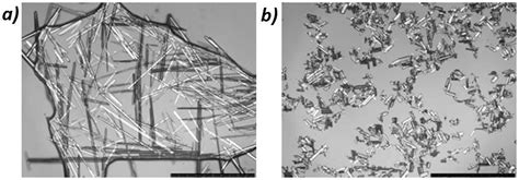 Needle Particles In Plantst And Their Impact On Growth And Health