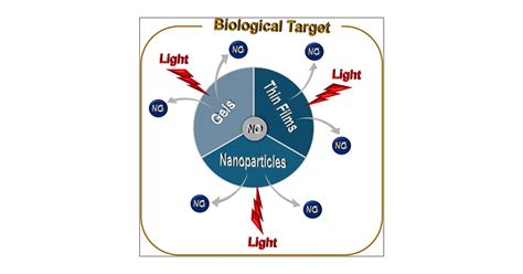 Nitric Oxide Photodelivering Materials With Multiple Functionalities From Rational Design To Therapeutic Applications Acs Applied Materials Interfaces