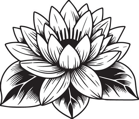 Outline Water Lily Drawing Tattoo Outline Water Lily Drawing Japanese Water Lily Tattoo Design July Birth Flower Water Lily Tattoo Water Lily Pad Coloring Pages Stock Vector Adobe Stock Outline Water Lily Drawing Tattoo Outline Water Lily Drawing Japanese Water Lily Tattoo Design July Birth Flower Water Lily Tattoo Water Lily Pad Coloring Pages Stock Vector Adobe Stock