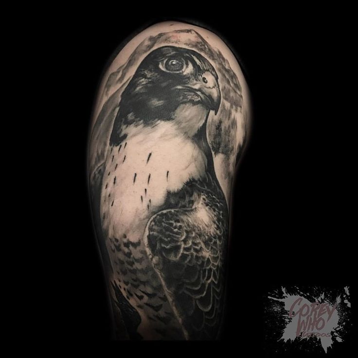 Peregrine Falcon Tattoo