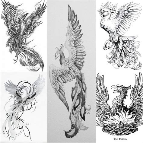 Phoenix Tattoo Sketch At Paintingvalley Com Explore Collection Of Phoenix Tattoo Sketch At Paintingvalley Com Explore Collection Of