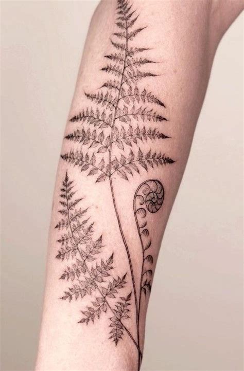 Pin By Cindy Fujimura On Tattoos Earthy Tattoos Fern Tattoo Pin By Cindy Fujimura On Tattoos Earthy Tattoos Fern Tattoo