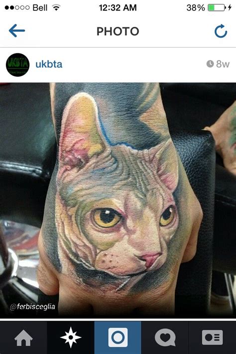 Pin By Nathalie Millotte On Colo Sphynx Cat Tattoo Cat Tattoo