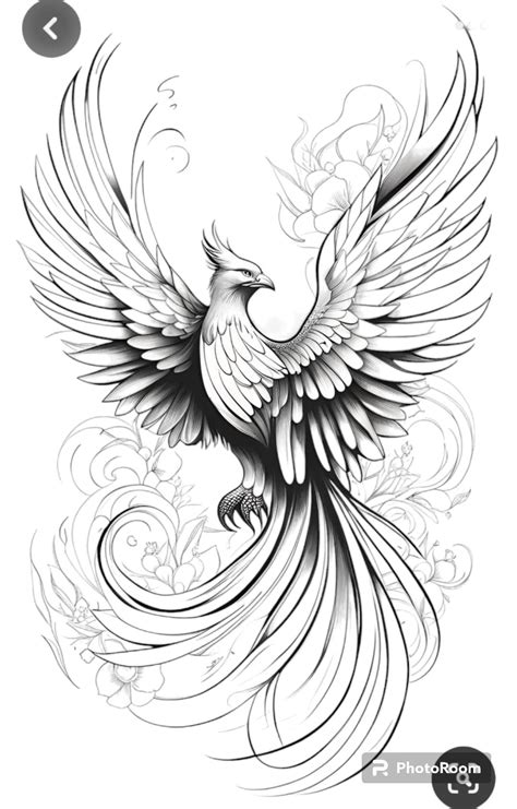 Pin By Tatiana S On Client Phoenix Tattoo Phoenix Tattoo Design