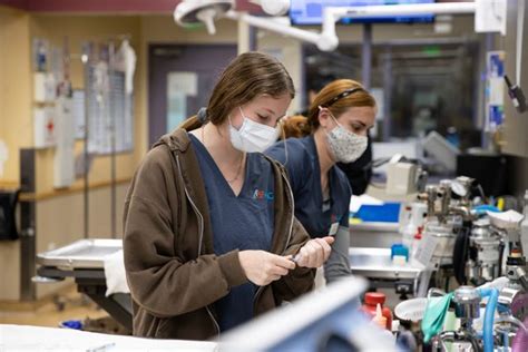 San Francisco Animal Medical Center: Expert Care For Pets