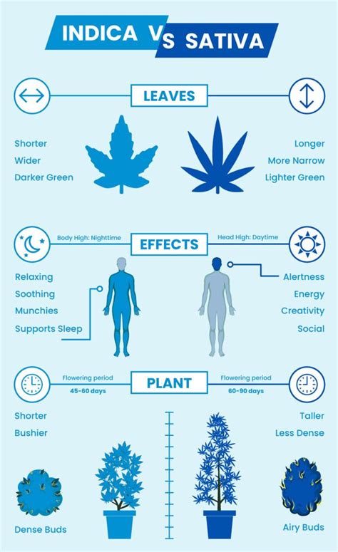 Sativa Vs Indica Chart Sativa Vs Indica Chart