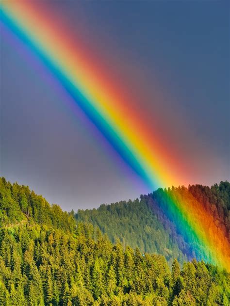 Seeing A Rainbow After Death Can Bring Comfort And Peace