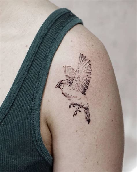 Sparrow Tattoo Images Browse 8 014 Stock Photos Vectors And Video Adobe Stock Sparrow Tattoo Images Browse 8 014 Stock Photos Vectors And Video Adobe Stock