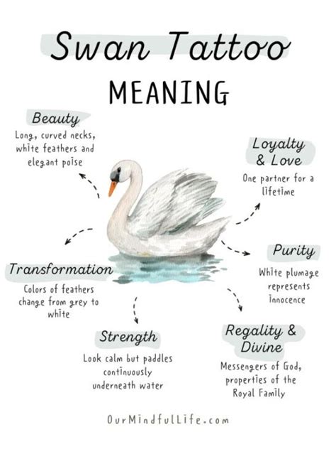 Swan Tattoo Meaning And Symbolism Tatticle