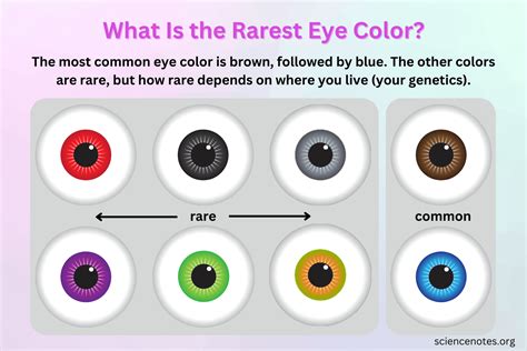 What Is The Rarest Eye Color Blog Eyebuydirect
