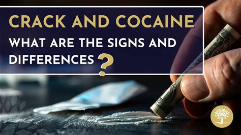What S The Difference Between Crack And Cocaine Drugaddiction Substanceusedisorder What S The Difference Between Crack And Cocaine Drugaddiction Substanceusedisorder