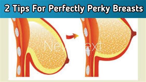 Your Guide To Perkier Breasts The Breast Lift Revolution Perfect